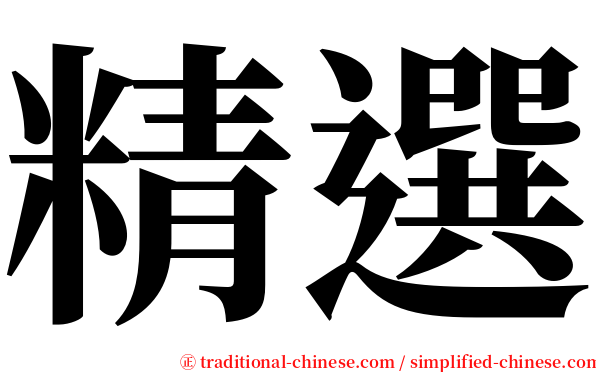 精選 serif font