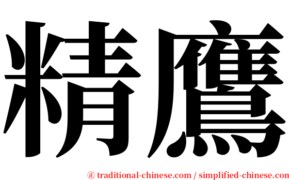 精鷹 serif font