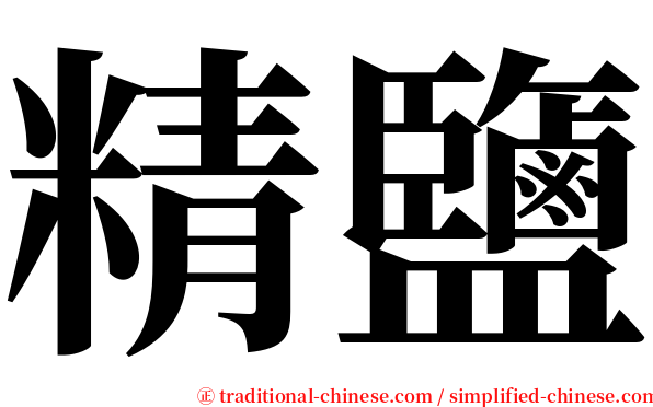 精鹽 serif font