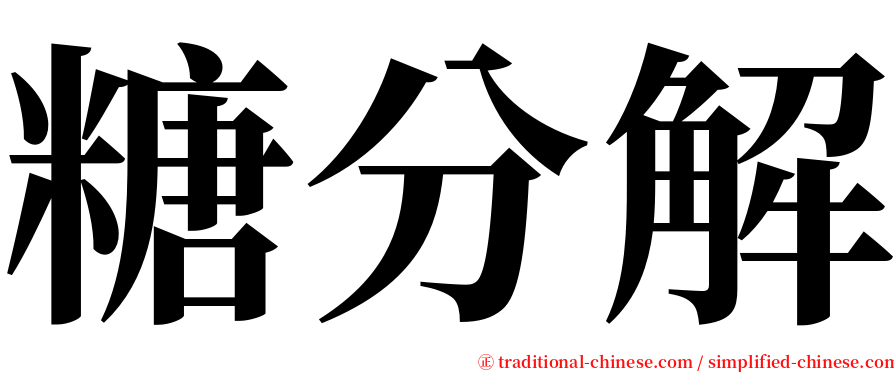 糖分解 serif font