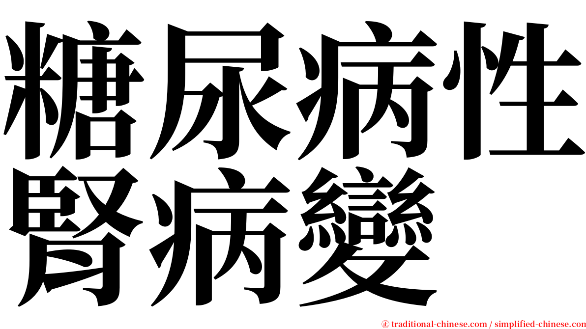 糖尿病性腎病變 serif font