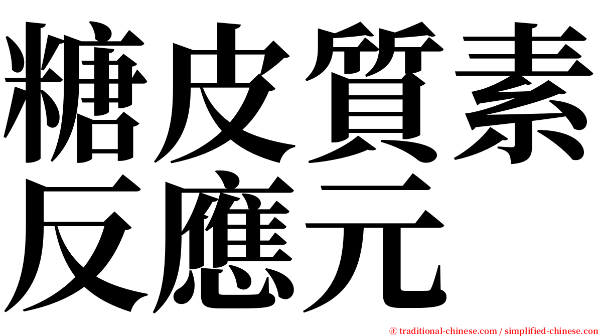 糖皮質素反應元 serif font