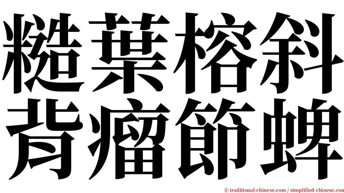 糙葉榕斜背瘤節蜱 serif font