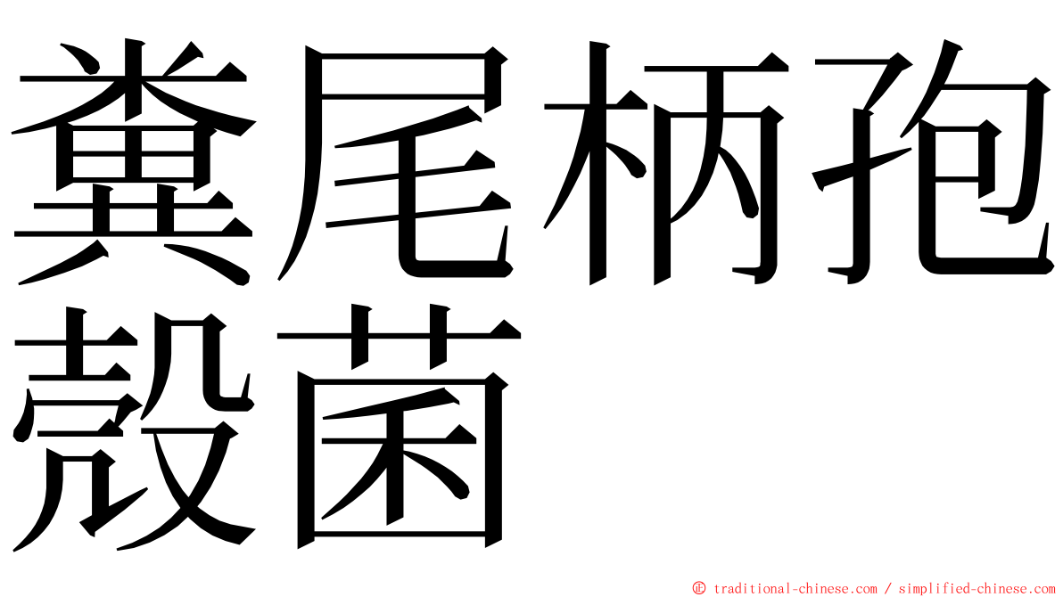 糞尾柄孢殼菌 ming font