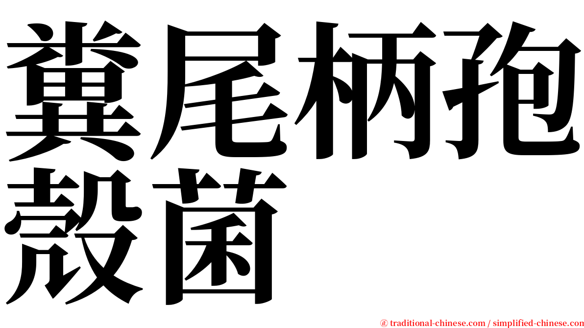 糞尾柄孢殼菌 serif font