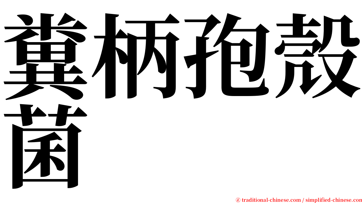 糞柄孢殼菌 serif font