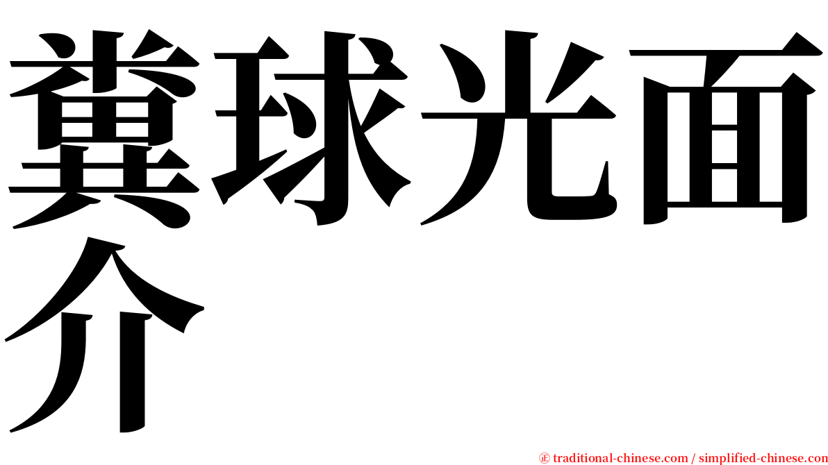 糞球光面介 serif font