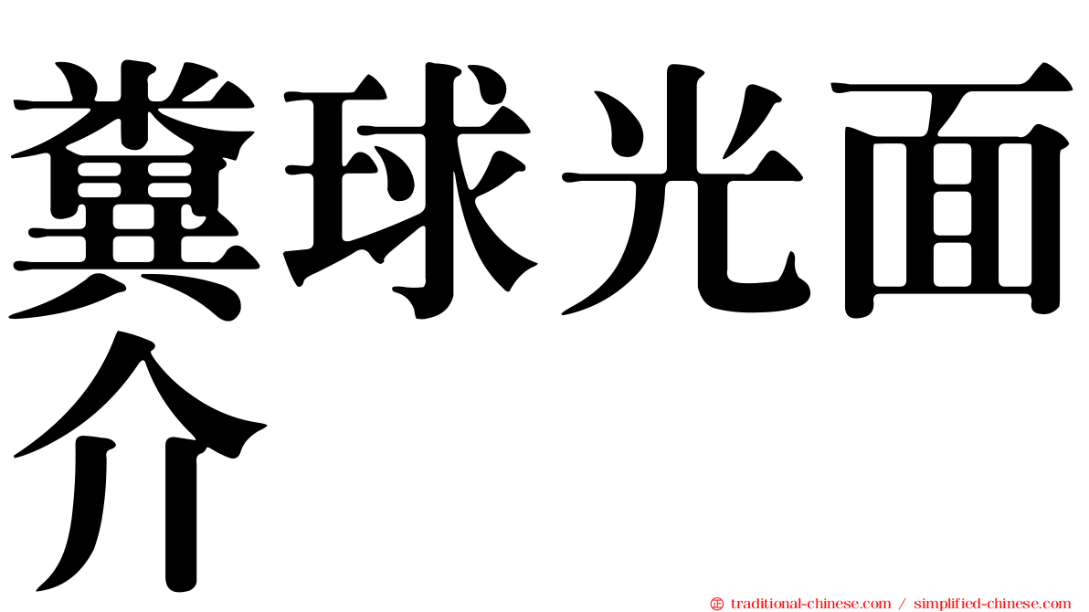 糞球光面介