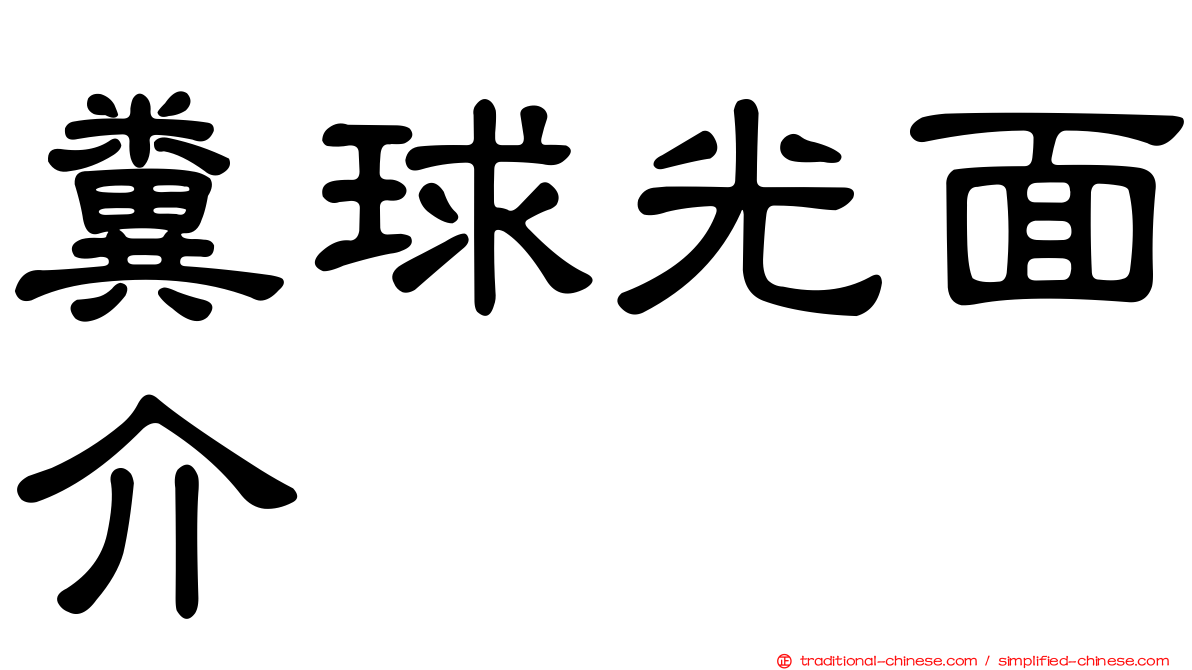 糞球光面介