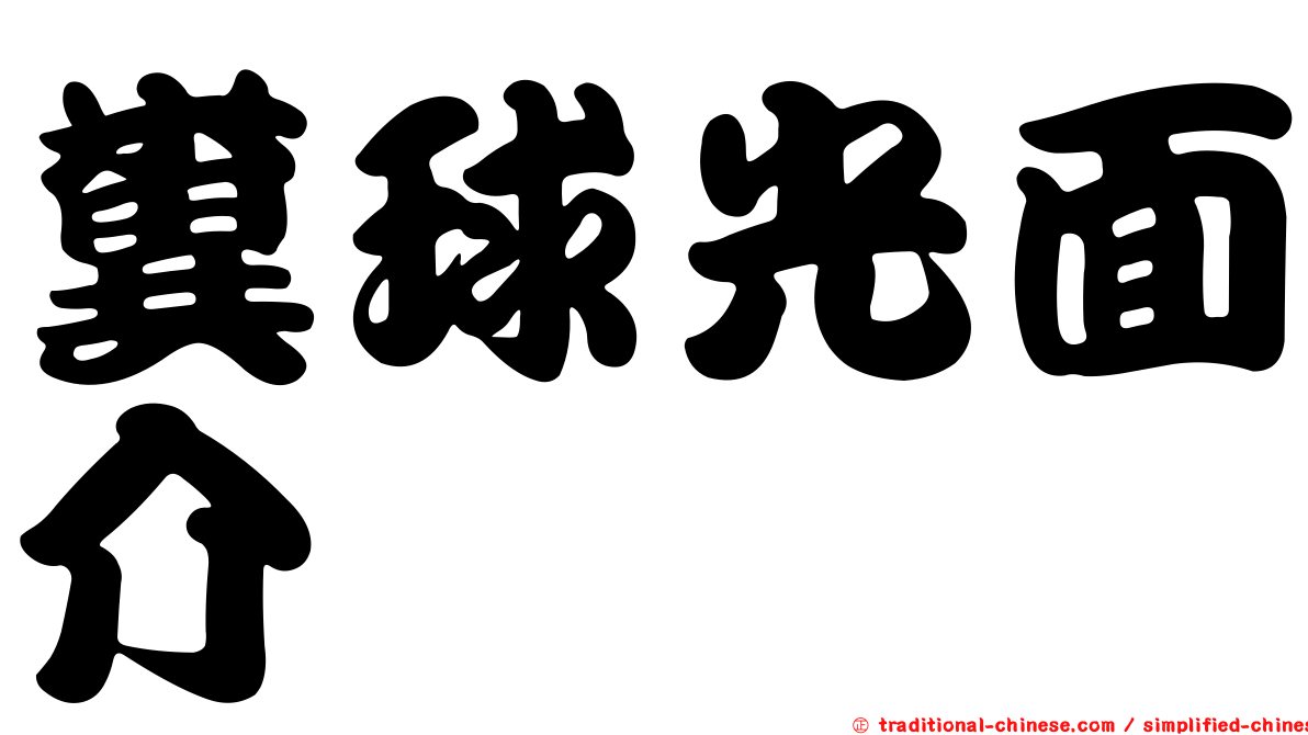 糞球光面介