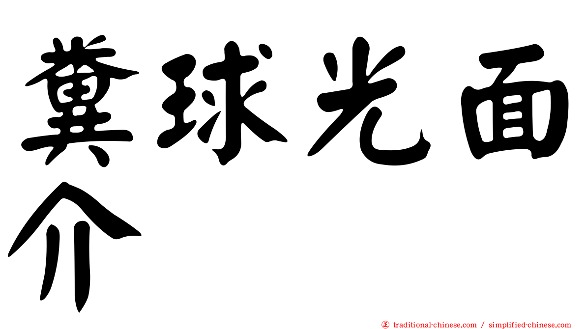 糞球光面介