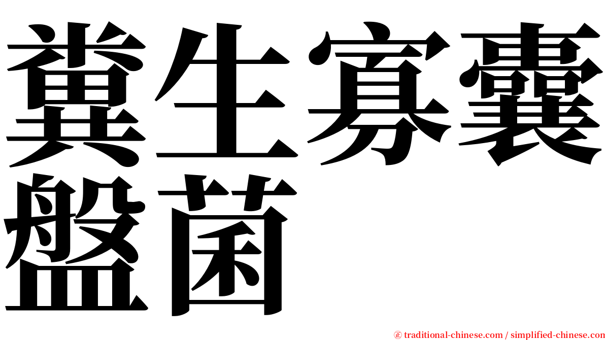 糞生寡囊盤菌 serif font
