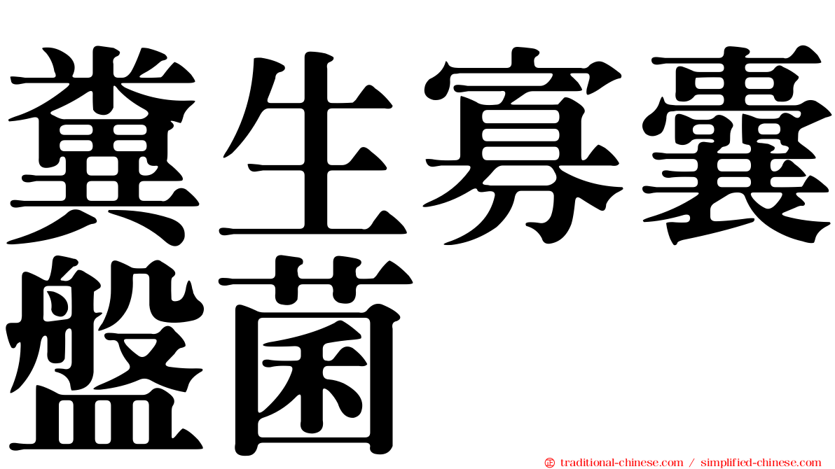 糞生寡囊盤菌