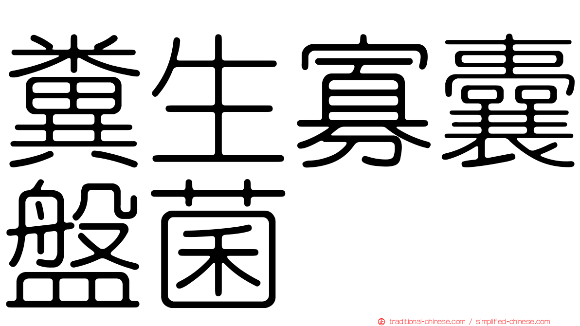 糞生寡囊盤菌