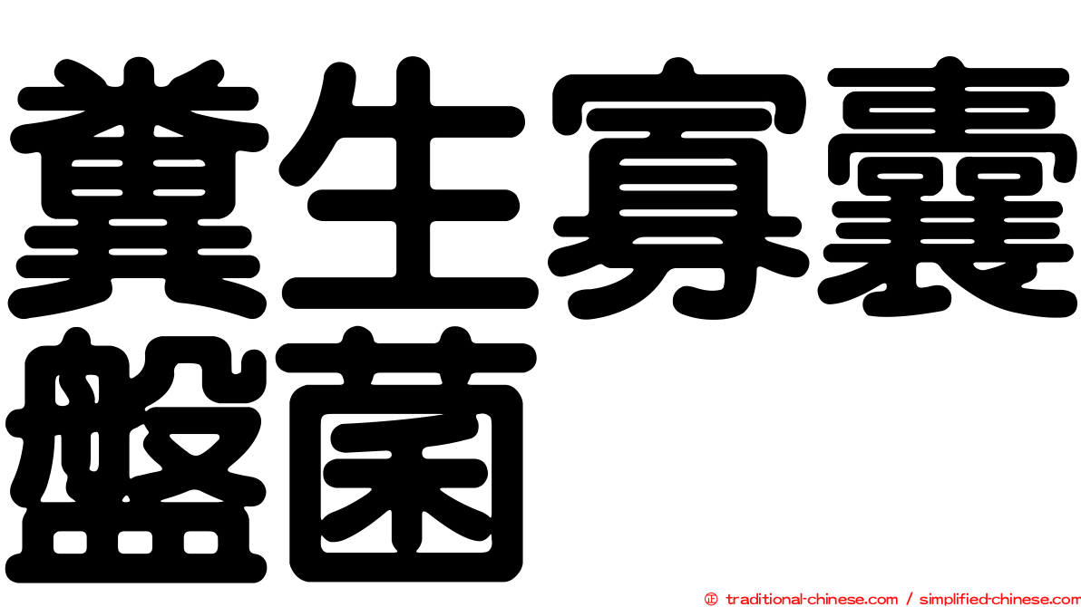 糞生寡囊盤菌