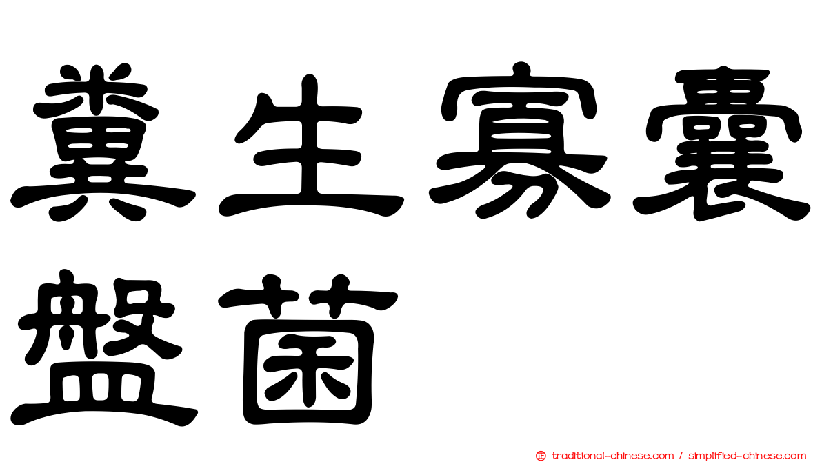 糞生寡囊盤菌