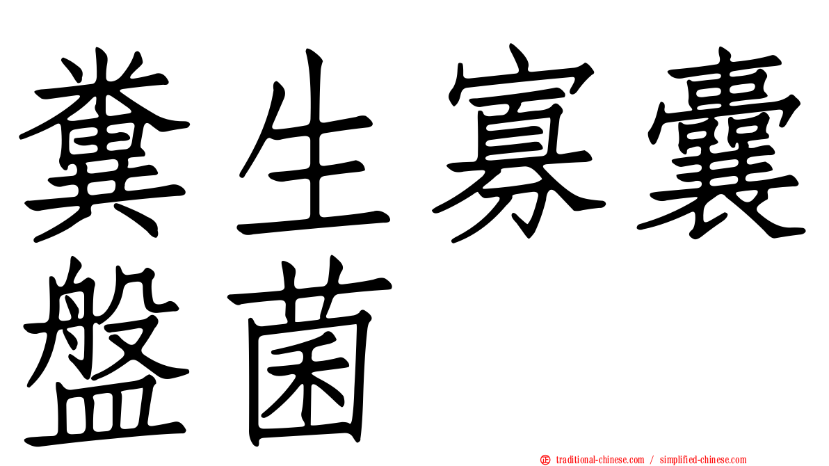糞生寡囊盤菌