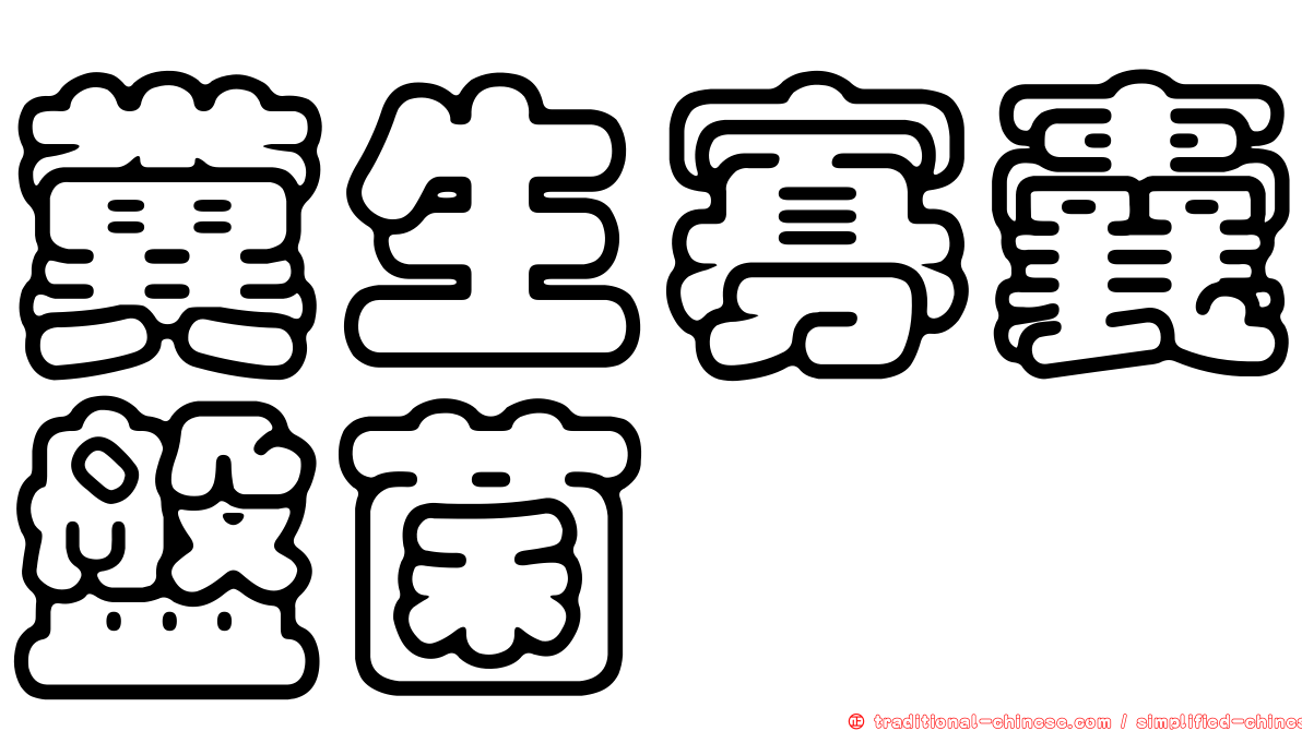 糞生寡囊盤菌
