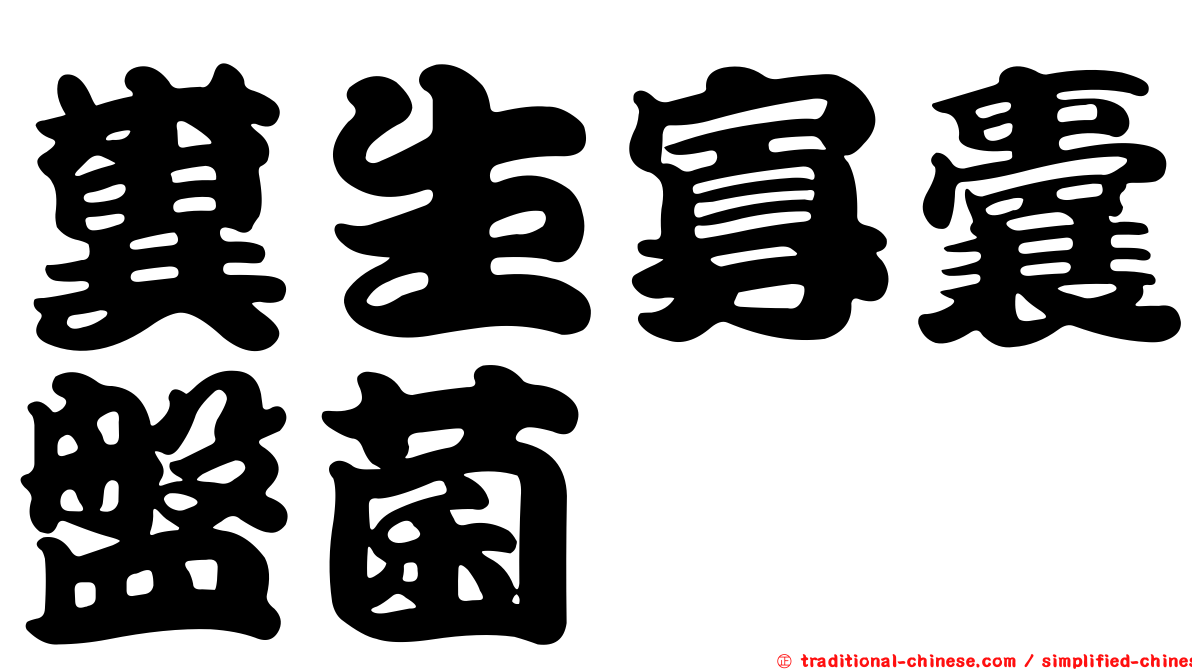 糞生寡囊盤菌