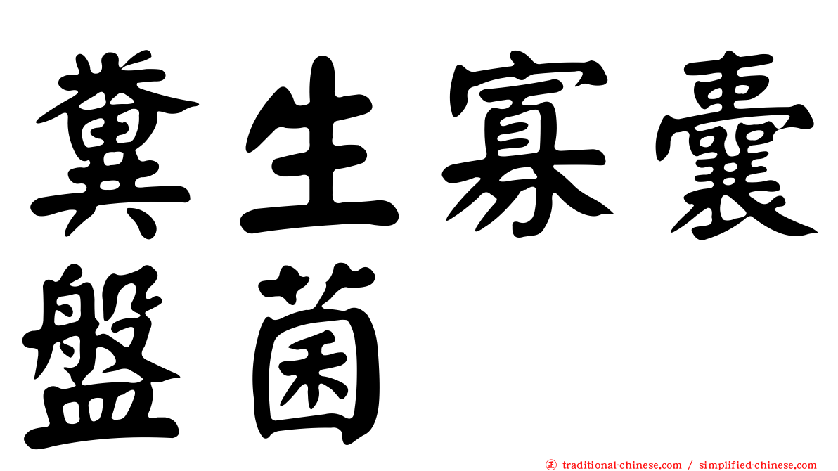 糞生寡囊盤菌