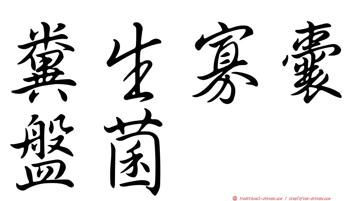 糞生寡囊盤菌
