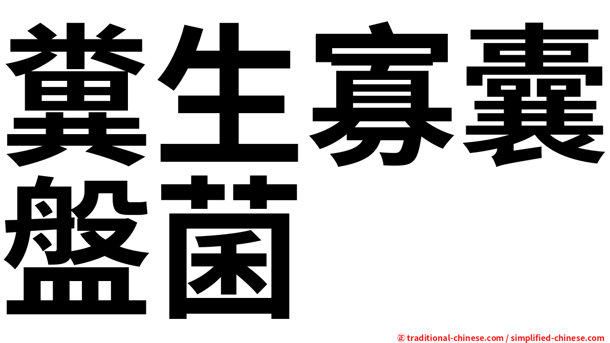 糞生寡囊盤菌