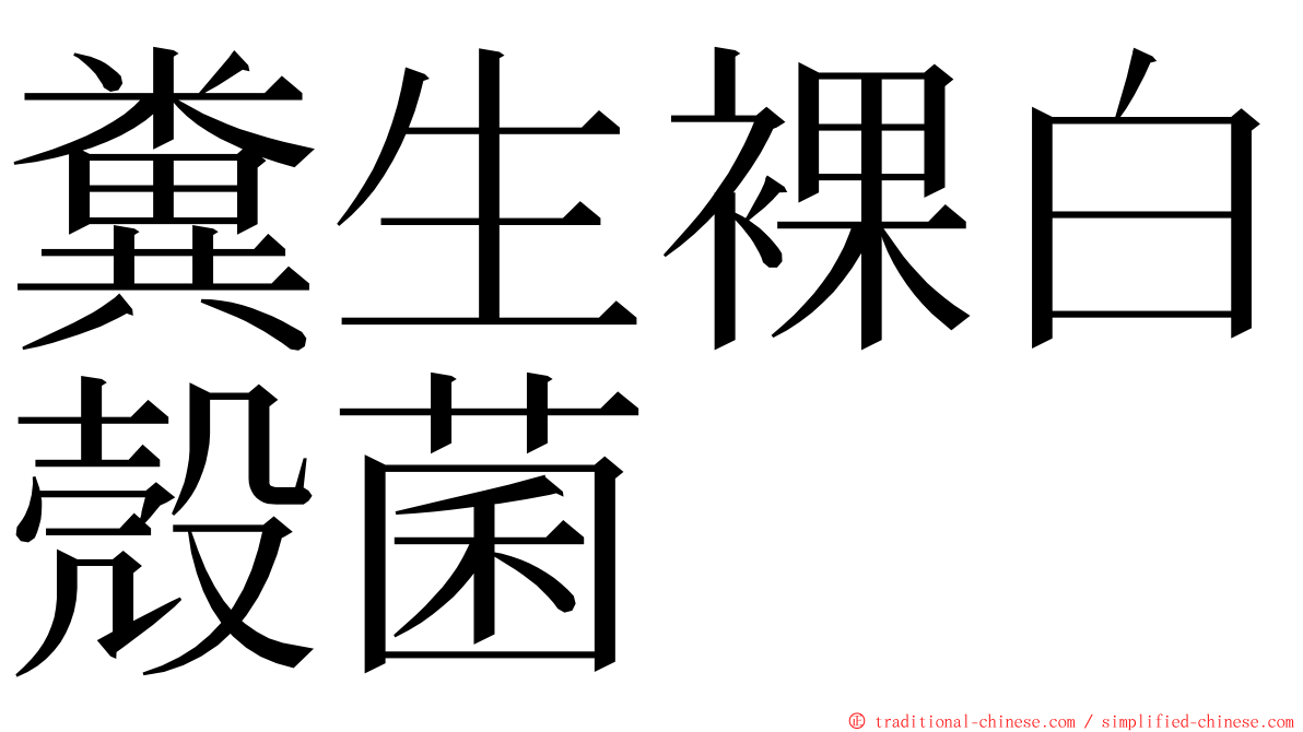 糞生裸白殼菌 ming font