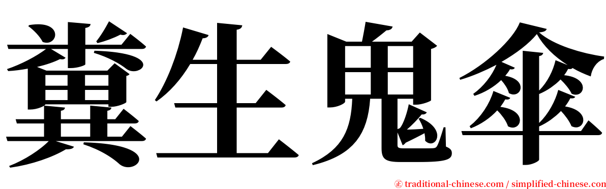 糞生鬼傘 serif font