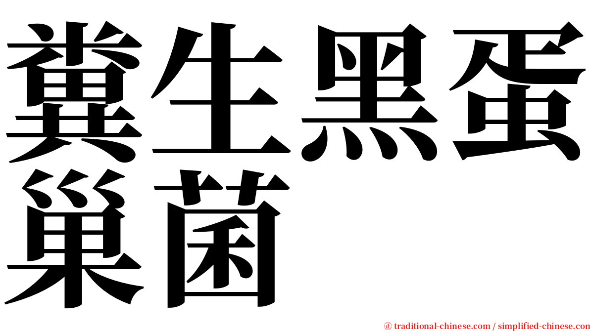 糞生黑蛋巢菌 serif font