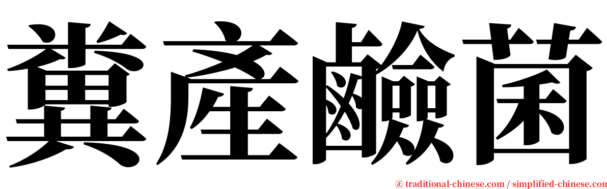 糞產鹼菌 serif font