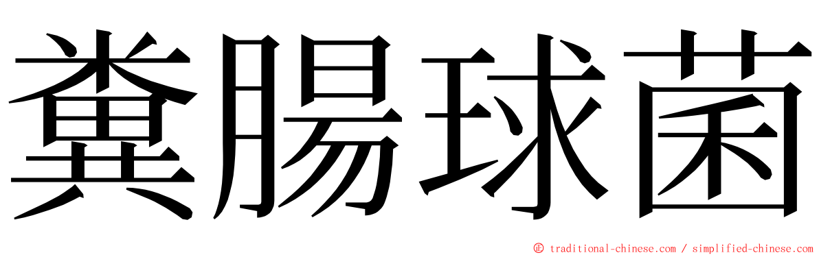 糞腸球菌 ming font