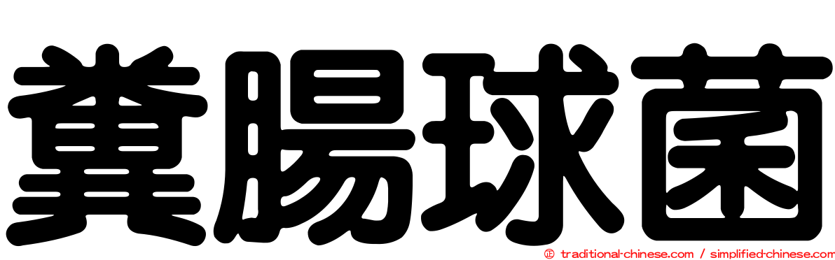 糞腸球菌
