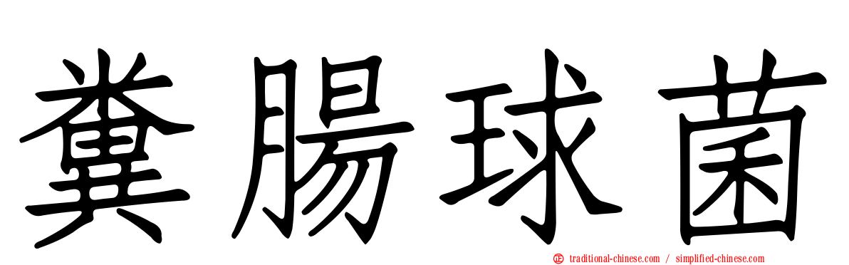 糞腸球菌