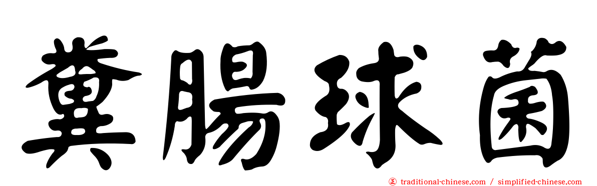 糞腸球菌