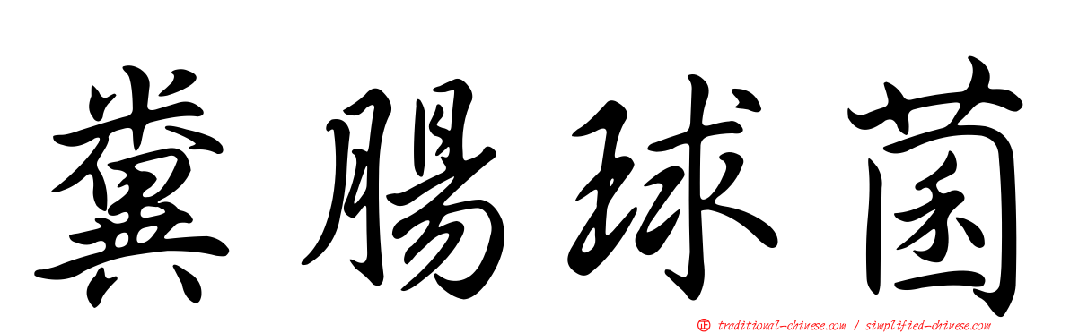 糞腸球菌