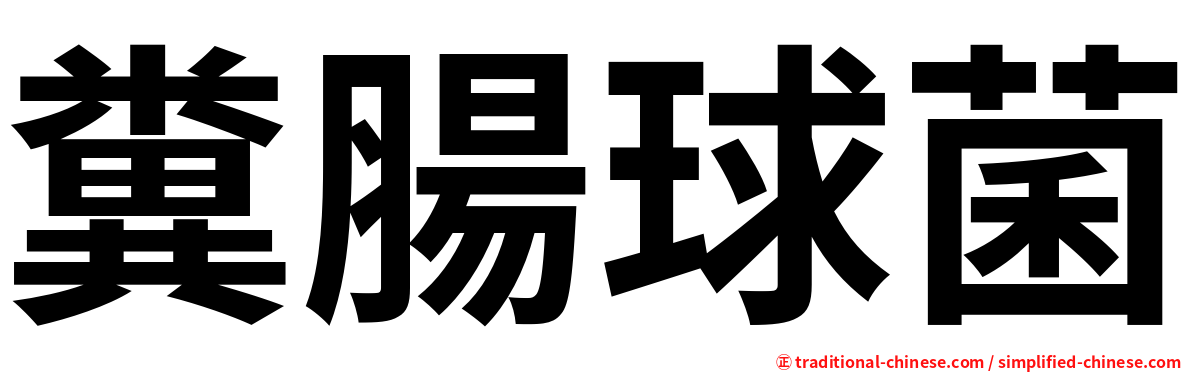 糞腸球菌