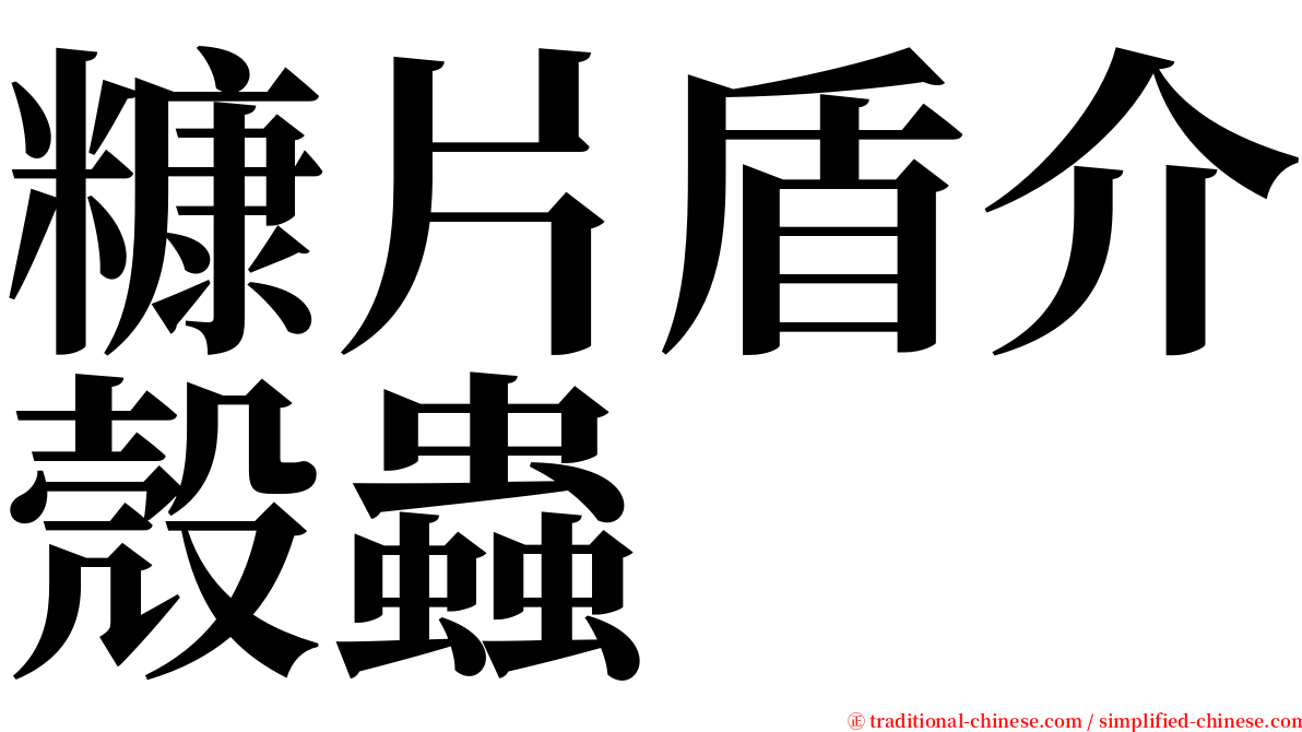 糠片盾介殼蟲 serif font