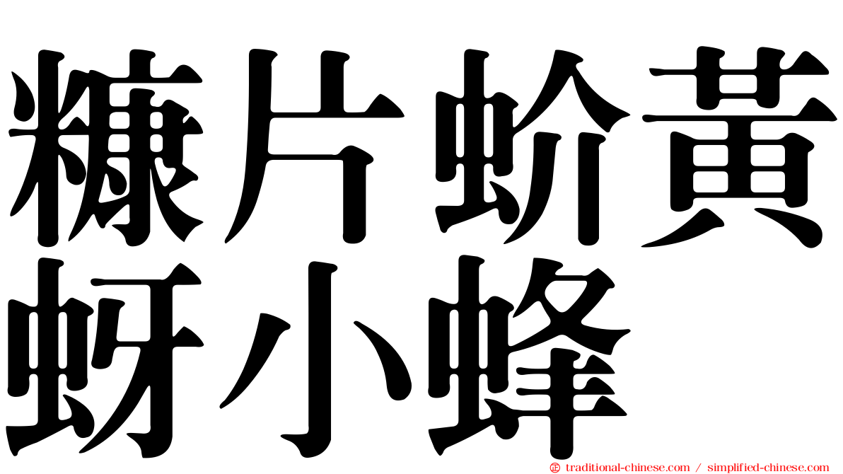 糠片蚧黃蚜小蜂