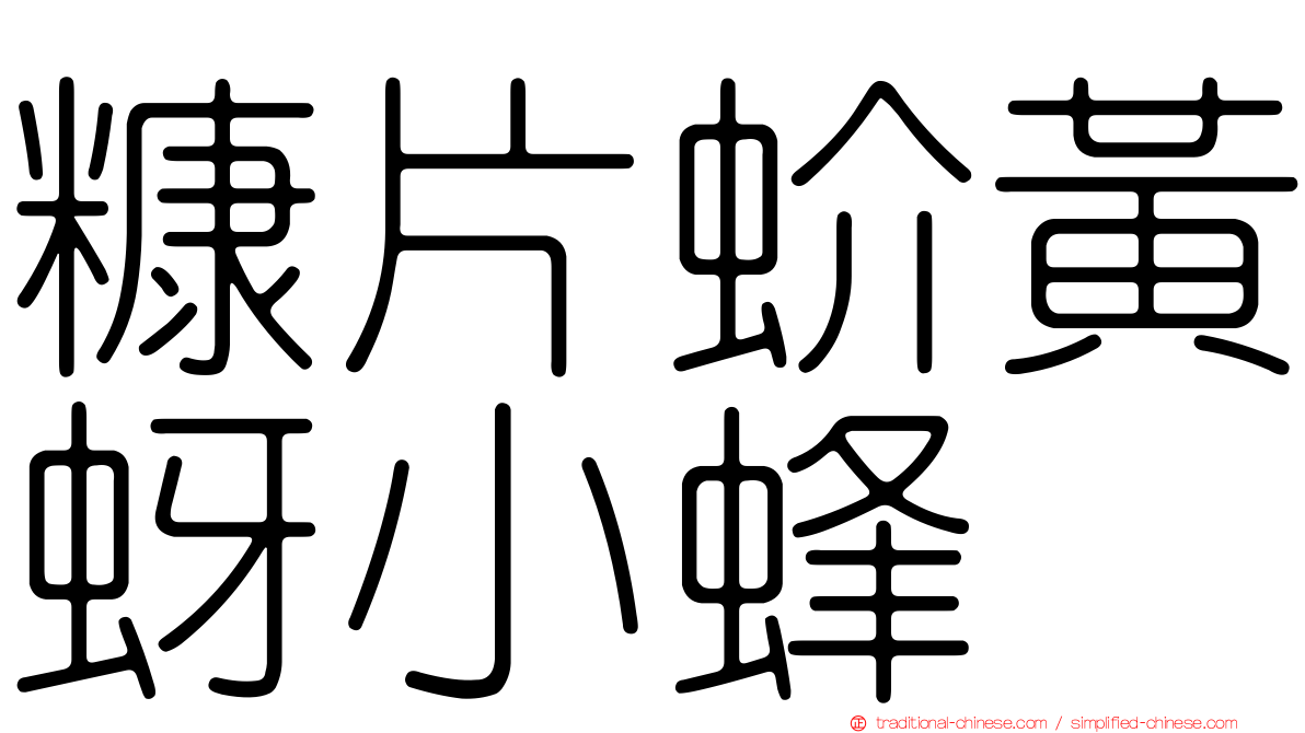 糠片蚧黃蚜小蜂