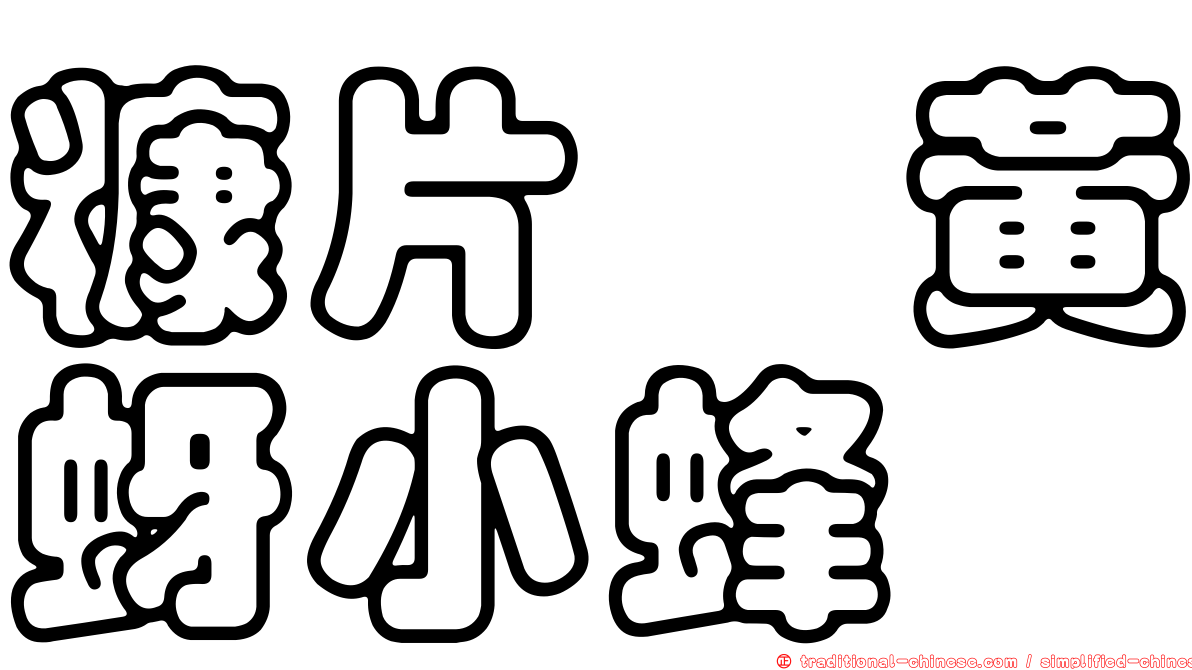 糠片蚧黃蚜小蜂