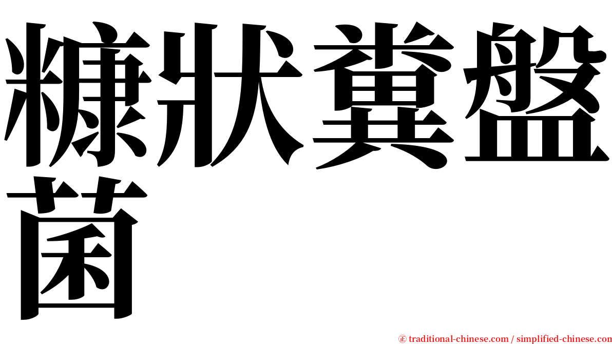 糠狀糞盤菌 serif font