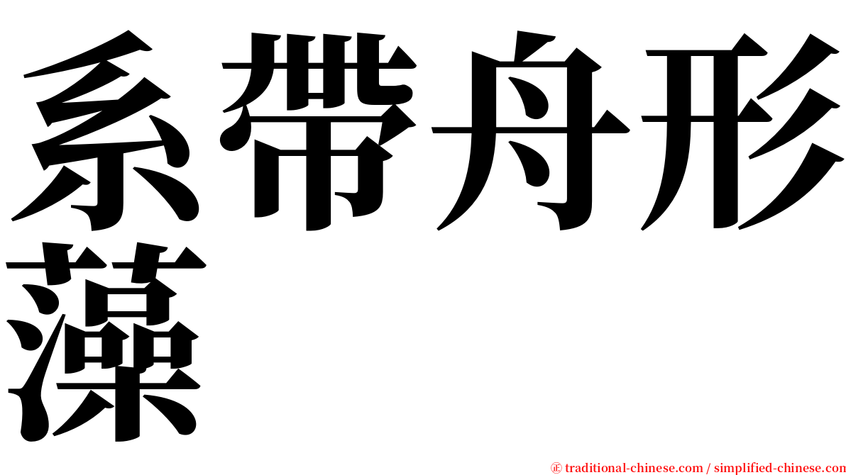 系帶舟形藻 serif font