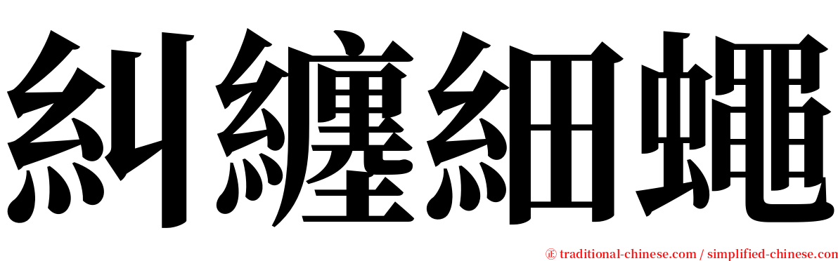 糾纏細蠅 serif font