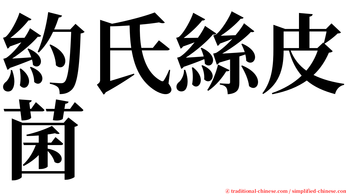 約氏絲皮菌 serif font