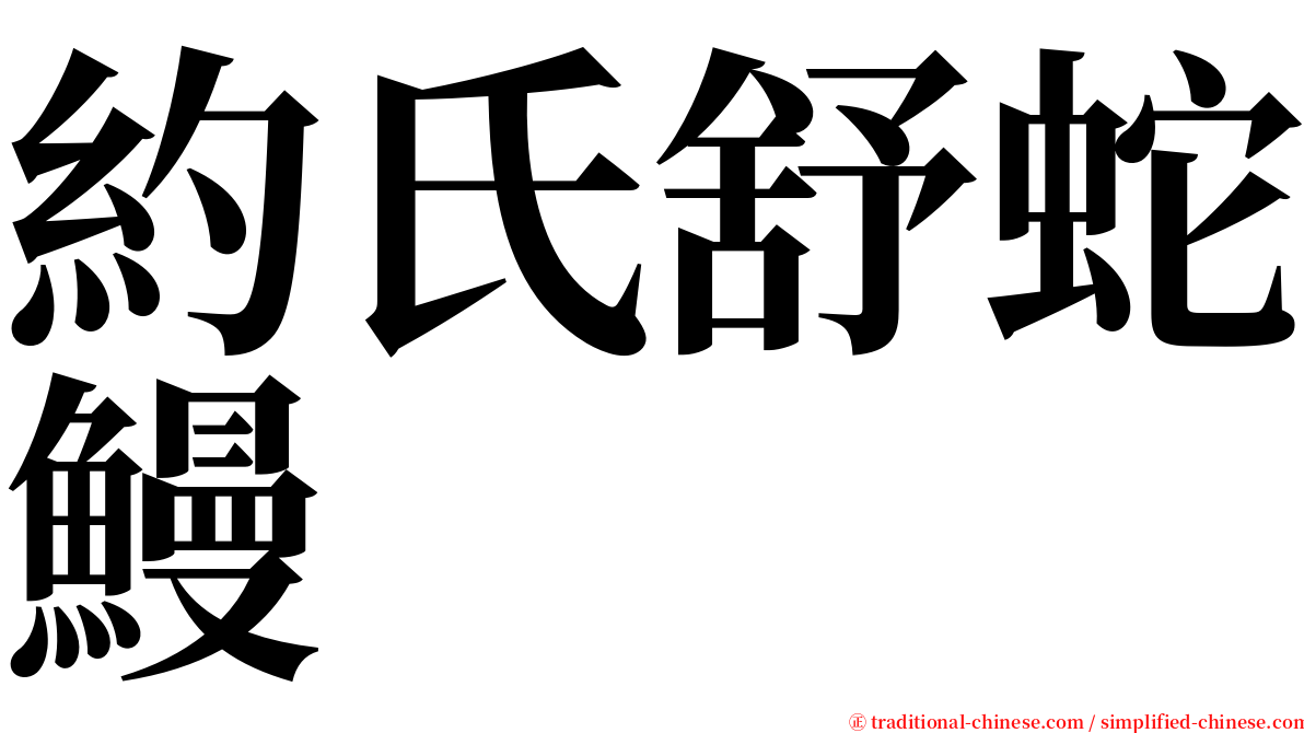 約氏舒蛇鰻 serif font