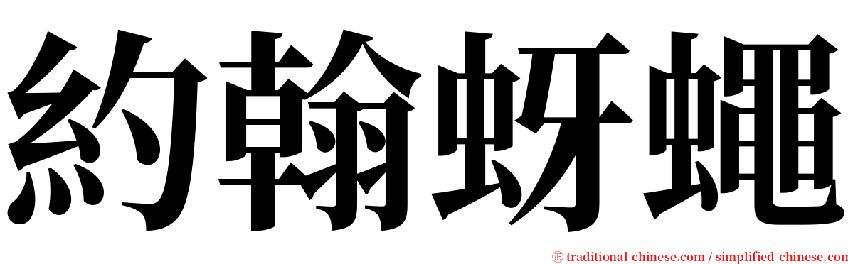 約翰蚜蠅 serif font