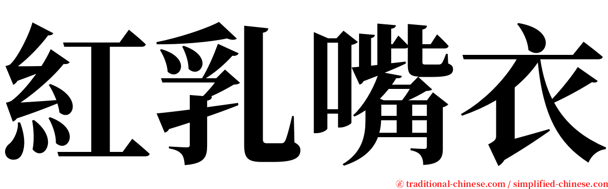 紅乳嘴衣 serif font