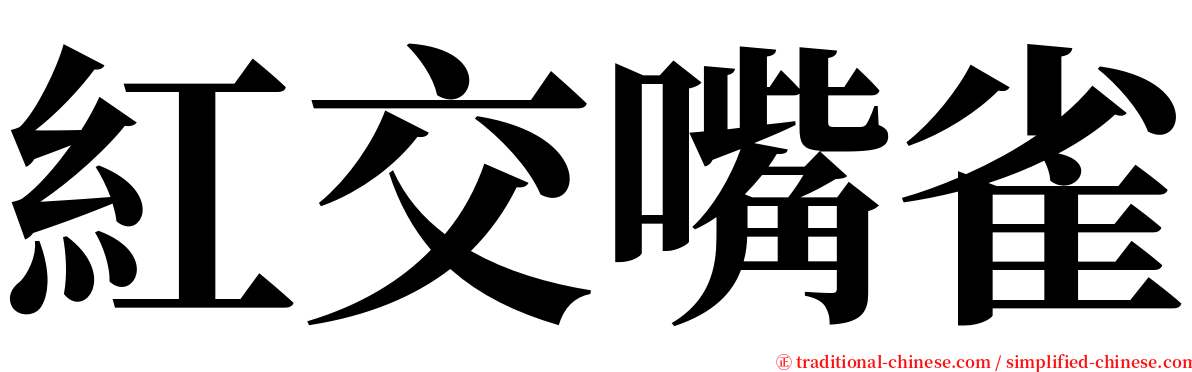 紅交嘴雀 serif font