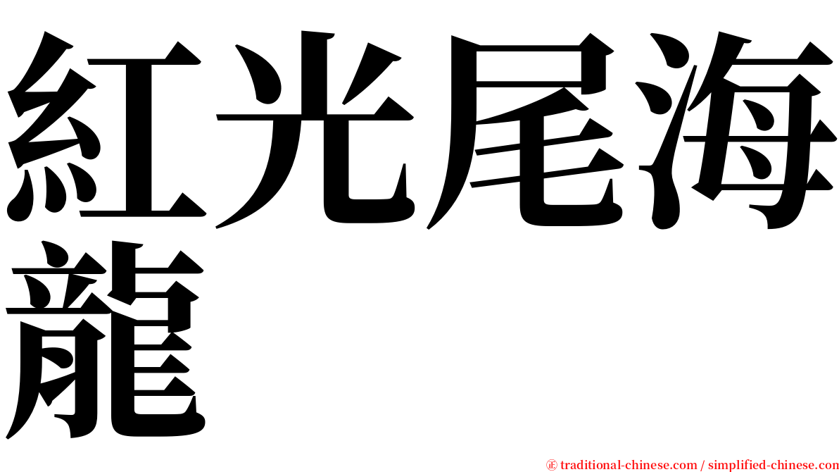 紅光尾海龍 serif font