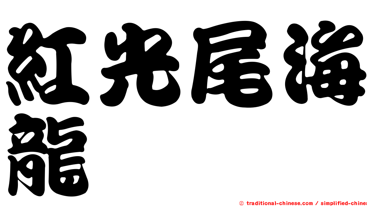 紅光尾海龍